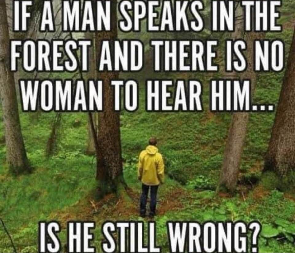 IF A MAN SPEAKS IN THE FOREST AND THERE IS NO WOMAN TO HEAR HIM... IS HE STILL WRONG?