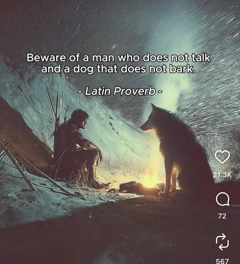 Beware of a man who does not talk and a dog that does not bark. - Latin Proverb -