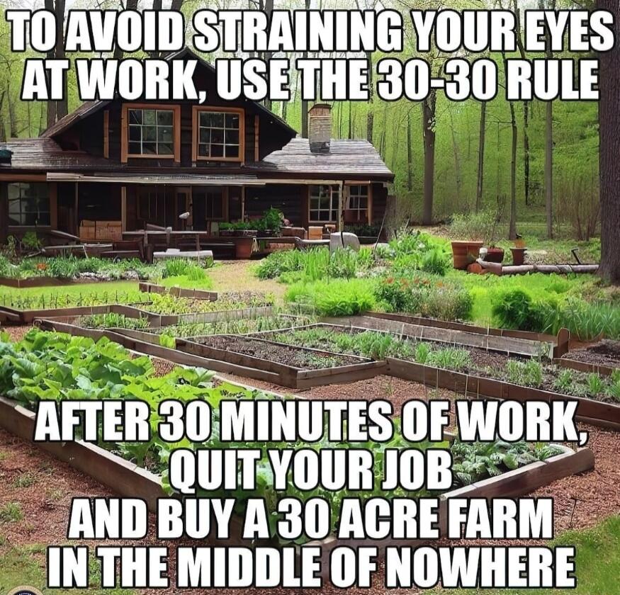 T0 AVOIDISTRAININGYOUREYE ATIWORK IISETHEr30 30 RULE AI IEB SOMIN IIF Wlll SSOUITYOURTOB ANDBUY A 30 ACREFARM _INTHE MIDDLE OF NOWHERE