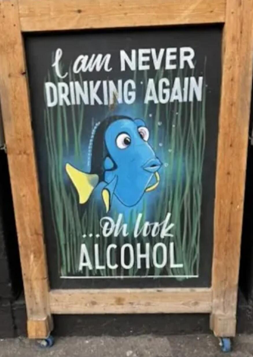 I am NEVER DRINKING AGAIN ...oh look ALCOHOL