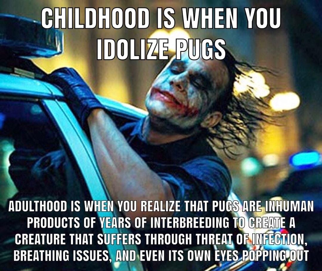 CHILDHOOD IS_WHEN YOU IDOLIZERUGS 3 ADULTHOOD IS WHENYOU REALIZE THAT PUGSARE THUMAN PRODUCTS OF YEARS OF INTERBREEDING TGJCREATE A CREATURE THAT SHS THROUGH THREAT ORINGEGTION Sy 5 BREATHING ISSUE NEwEVEN ITS DWNEYQOPPEIEBUT