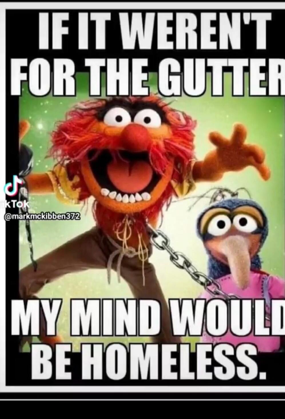 IF IT WEREN'T FOR THE GUTTER MY MIND WOULD BE HOMELESS.