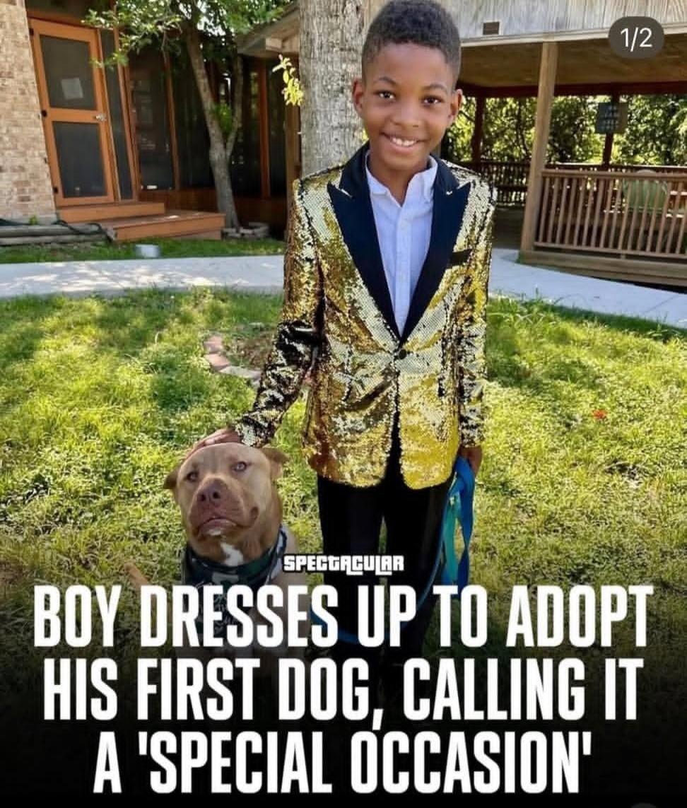 SPECTACULAR
BOY DRESSES UP TO ADOPT HIS FIRST DOG, CALLING IT A 'SPECIAL OCCASION'