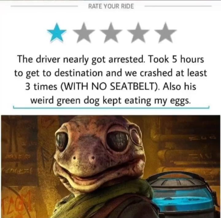 RATE YOUR RIDE k K The driver nearly got arrested Took 5 hours to get to destination and we crashed at least 3 times WITH NO SEATBELT Also his weird green dog kept eating my eggs