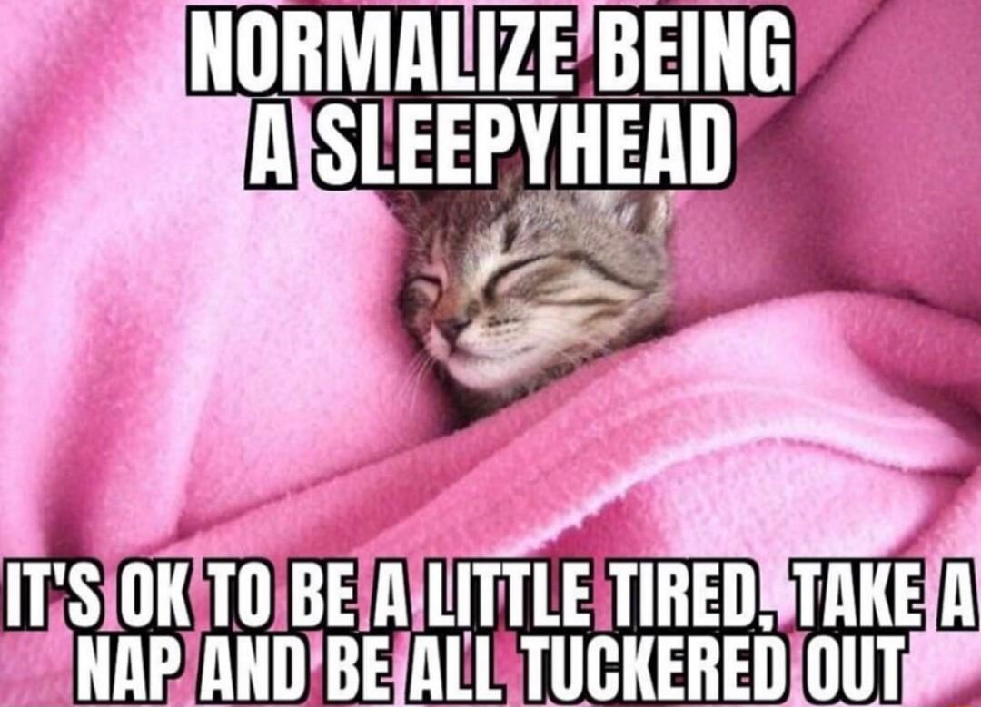 Tll BEIRILITTLEITIREDSTAKER TR0