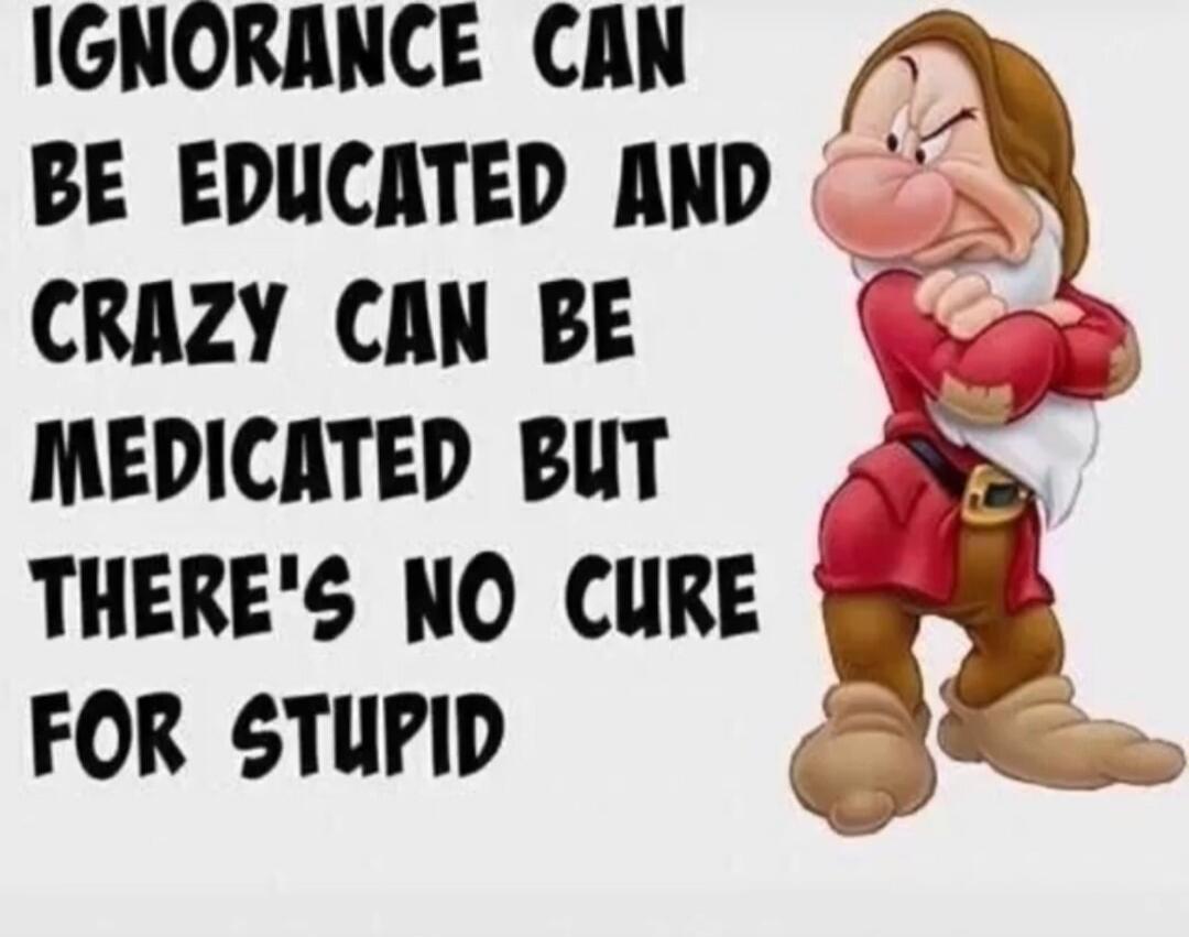 Ignorance can be educated and crazy can be medicated but there's no cure for stupid