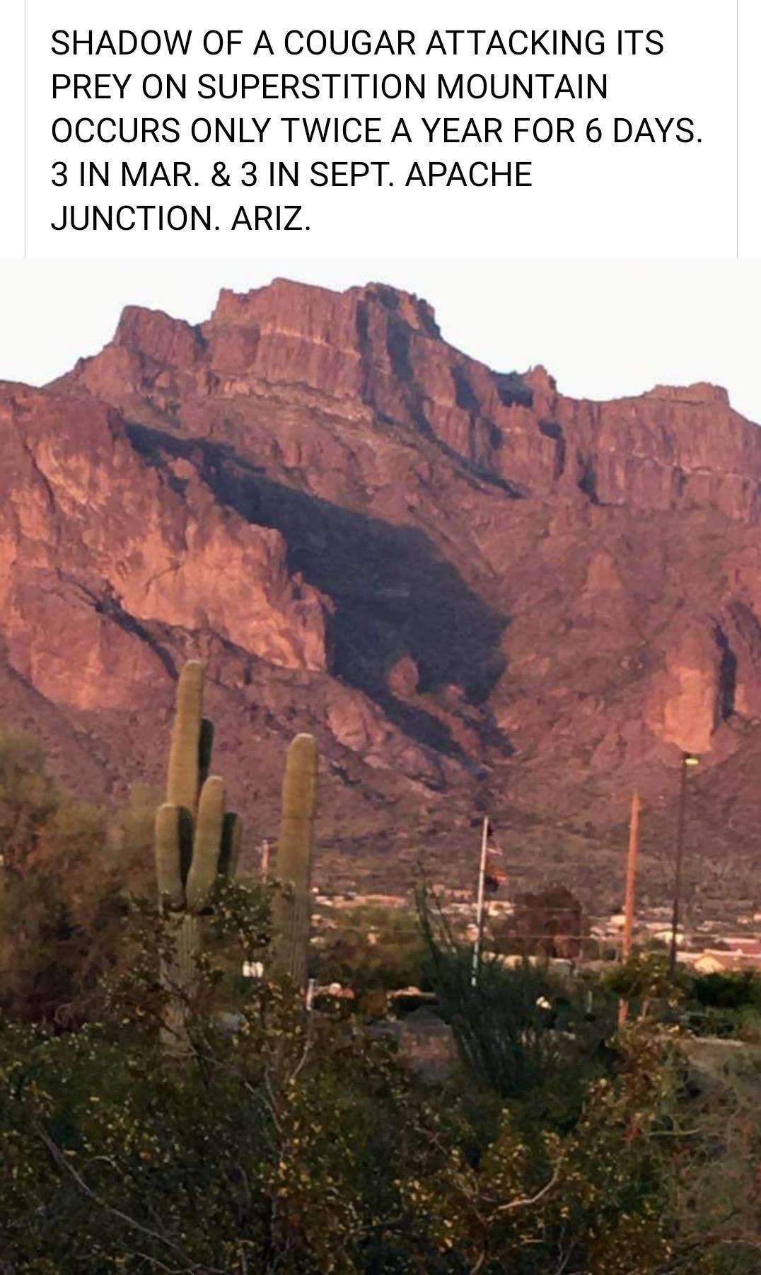 SHADOW OF A COUGAR ATTACKING ITS PREY ON SUPERSTITION MOUNTAIN OCCURS ONLY TWICE A YEAR FOR 6 DAYS 3 IN MAR 3 IN SEPT APACHE JUNCTION ARIZ 3