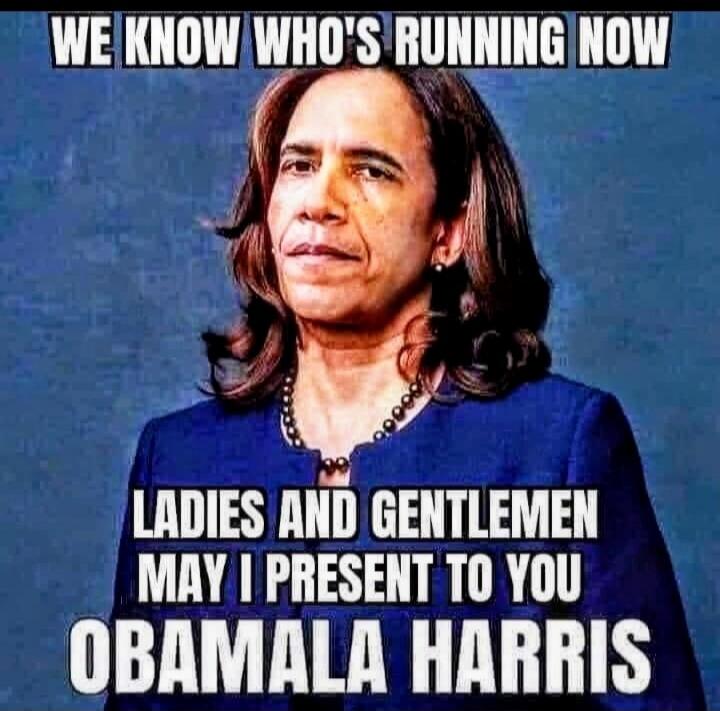 WE KNOW WHO'S RUNNING NOW LADIES AND GENTLEMEN MAY I PRESENT TO YOU OBAMALA HARRIS