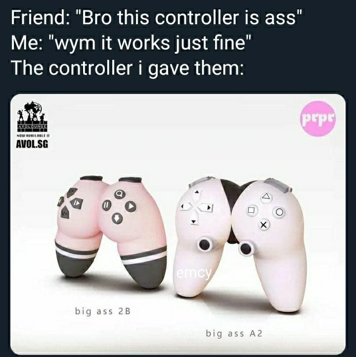 Friend Bro this controller is ass Me wym it works just fine The controller i gave them i RVOLSE