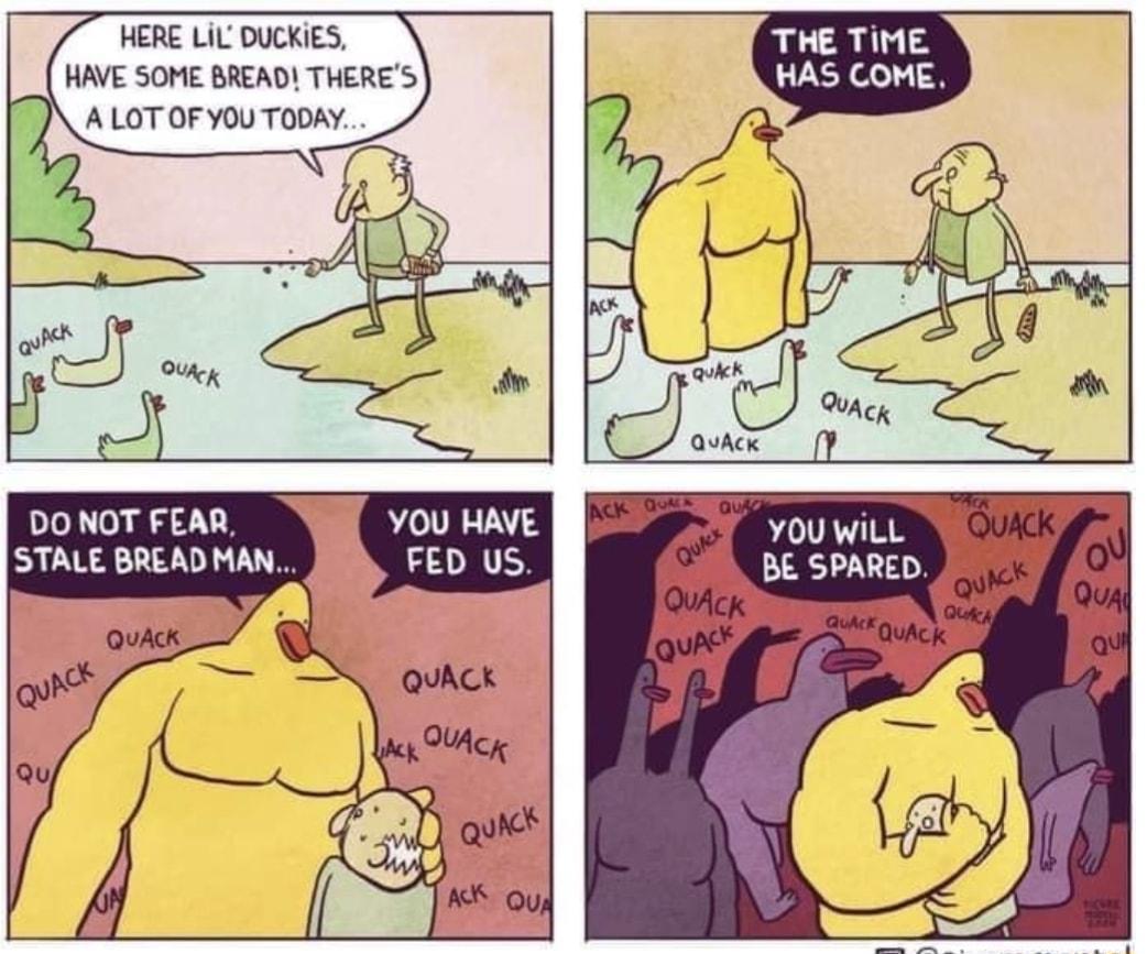 WERE LIL DUCKIES HAVE SOME BREAD THERES ALOTOF YOU TODAY DONOT FEAR STALE BREAD MAN YOU HAVE 22X YOU WiLL BE SPARED