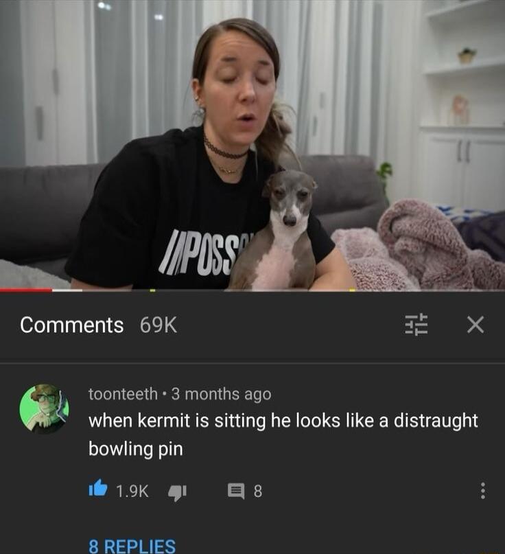 Comments 69K T X toonteeth 3 months ago when kermit is sitting he looks like a distraught bowling pin L RETON TR 1 8 REPLIES