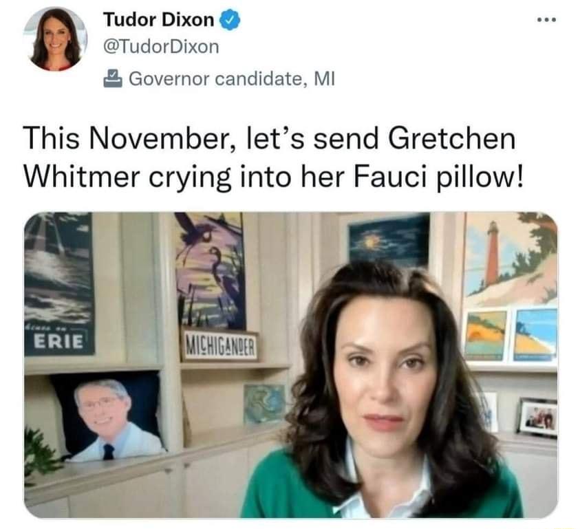 Tudor Dixon Dixon Governor candidate MI This November lets send Gretchen Whitmer crying into her Fauci pillow