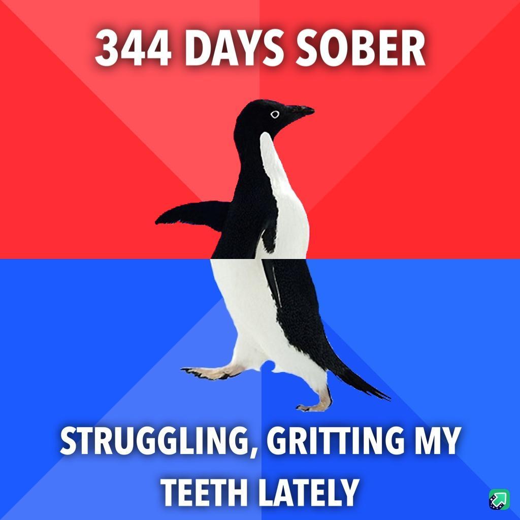 344 DAYS SOBER STRUGGLING GRITTING MY TEETH LATELY s