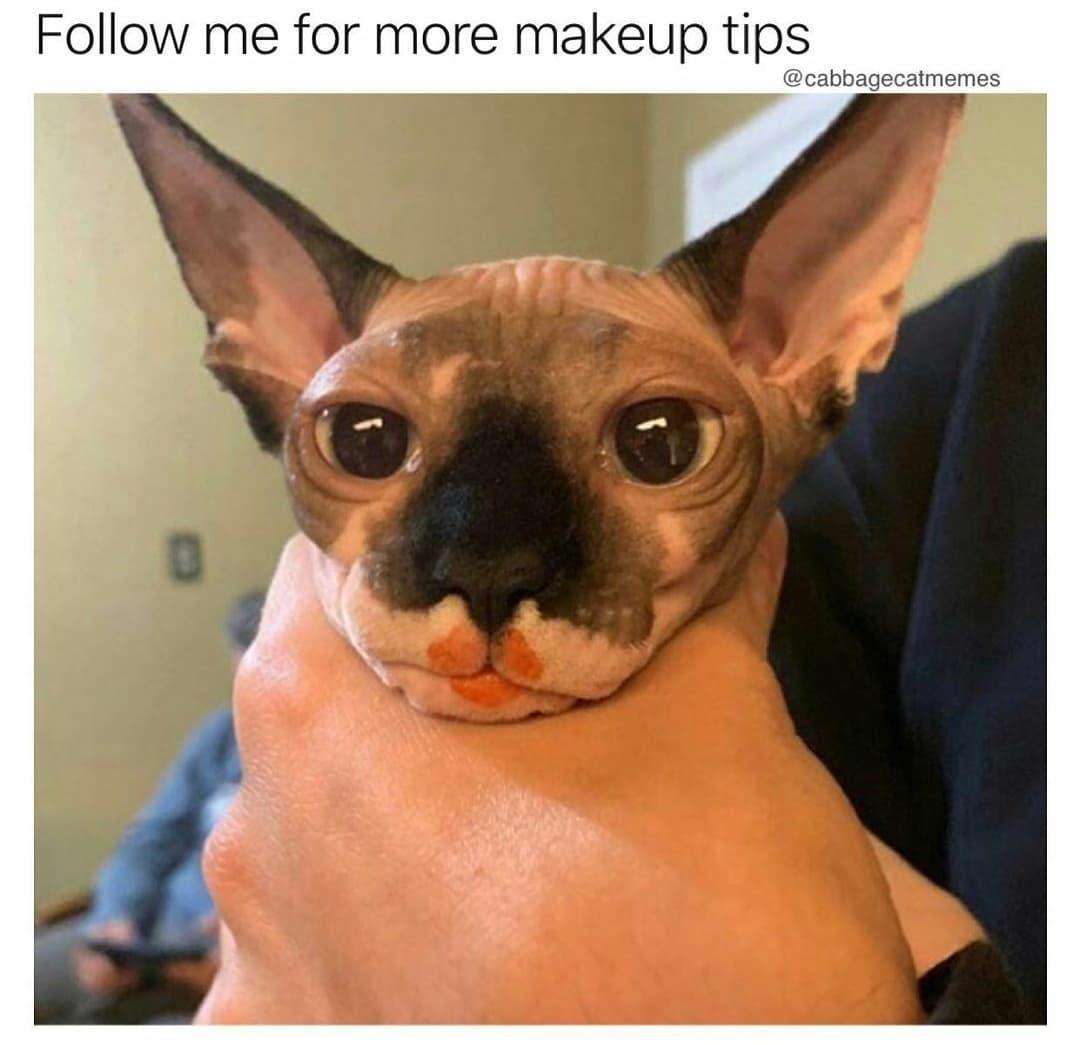 cabbagecatmemes Follow me for more makeup tips