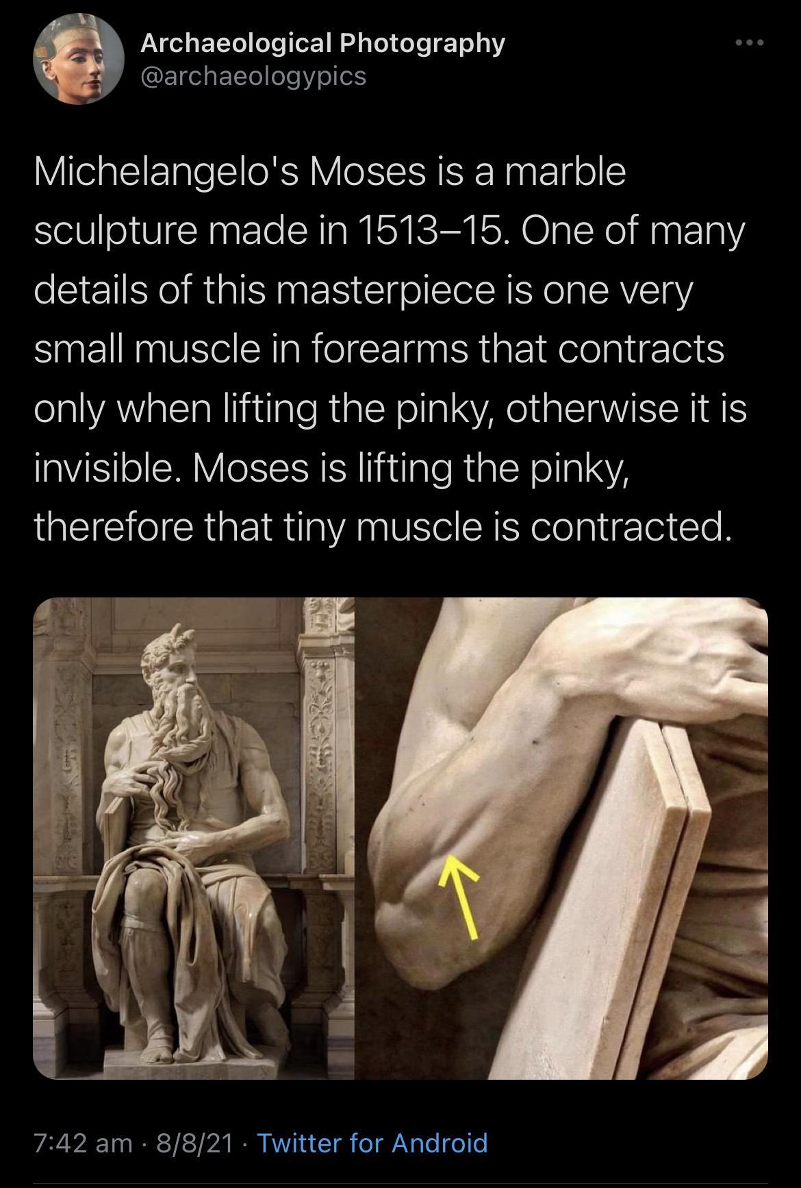 FAVg ol ETYo oTe TorT M adeTo LoYe T o1aY GEIfeELTe elsolelS Michelangelos Moses is a marble sculpture made in 1513 15 One of many details of this masterpiece is one very small muscle in forearms that contracts only when lifting the pinky otherwise it is invisible Moses is lifting the pinky EIEII R IR VANV SR YelepligTei Clo VAT VAT I T kT A N KT T g o AN g Te I o o