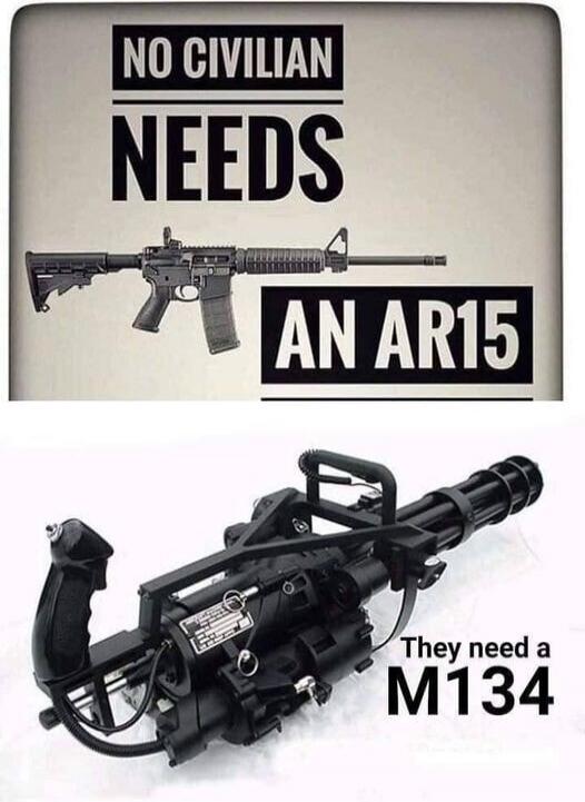 NO CIVILIAN NEEDS AN AR15. They need a M134.