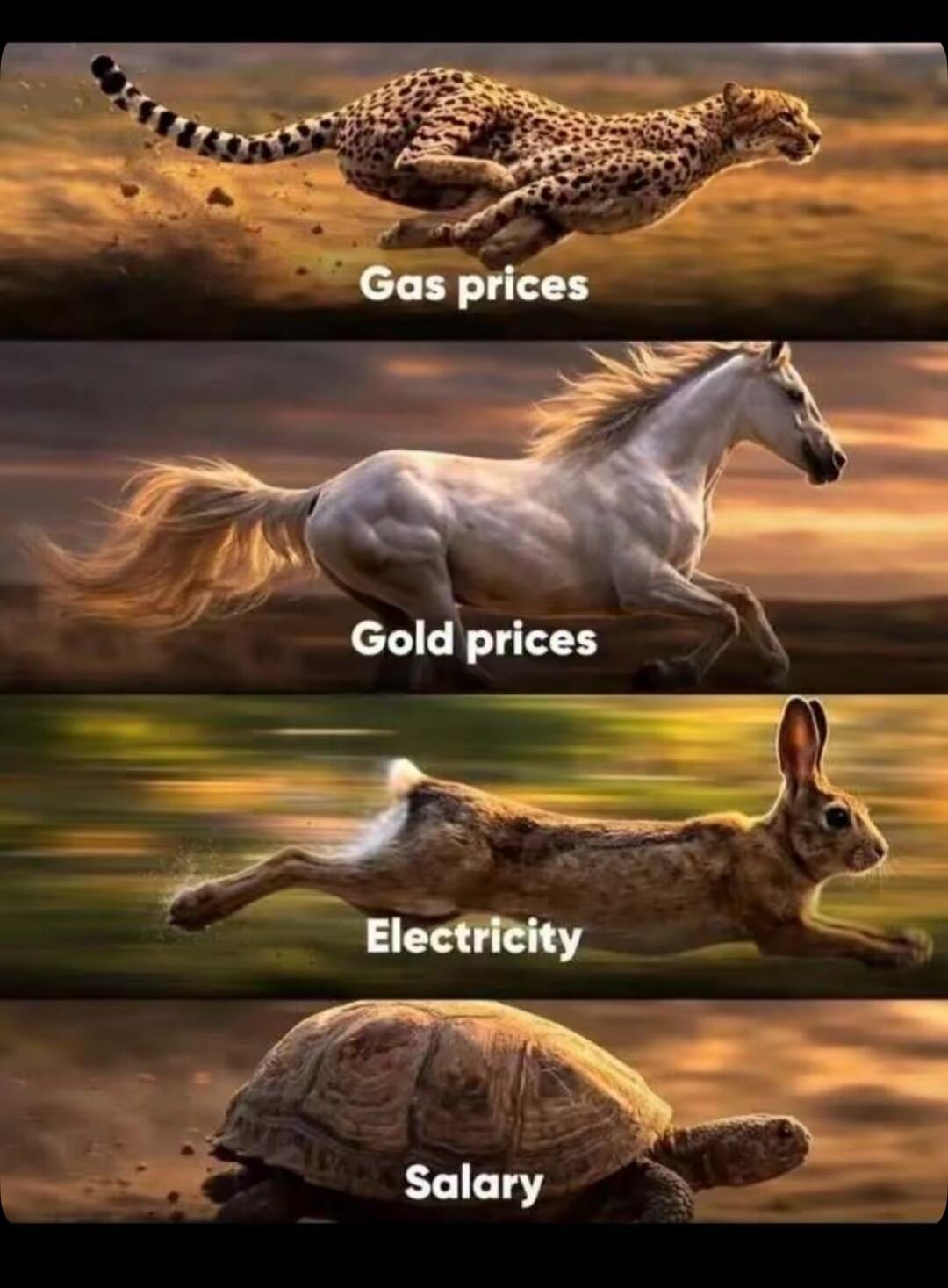Gas prices, Gold prices, Electricity, Salary