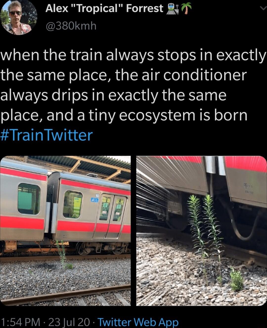 Alex Tropical Forrest 87 380kmh when the train always stops in exactly the same place the air conditioner always drips in exactly the same place and a tiny ecosystem is born TrainTwitter 154 PM 23 Jul 20 Twitter Web App