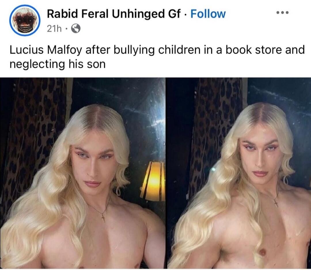 Rabid Feral Unhinged Gf. Lucius Malfoy after bullying children in a book store and neglecting his son.