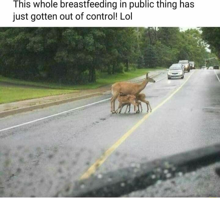 This whole breastfeeding in public thing has just gotten out of control Lol