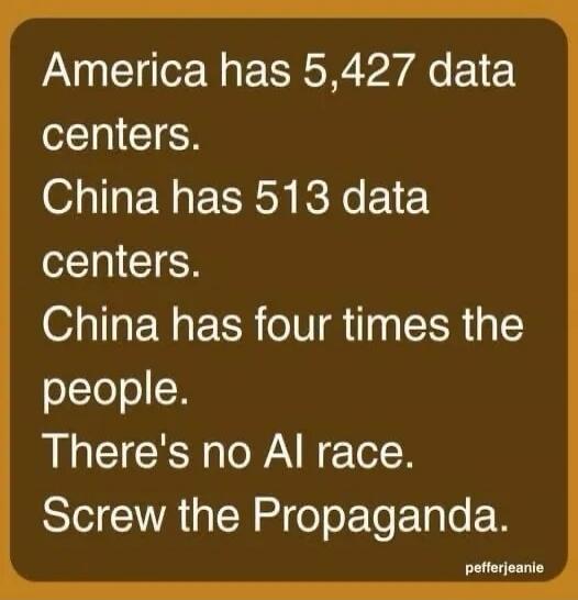 America has 5,427 data centers. China has 513 data centers. China has four times the people. There's no AI race. Screw the Propaganda. pefferjeanie