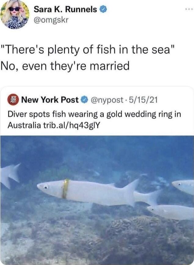 Sara K Runnels omgskr Theres plenty of fish in the sea No even theyre married New York Post nypost 51521 Diver spots fish wearing a gold wedding ring in Australia tribalhq43glY