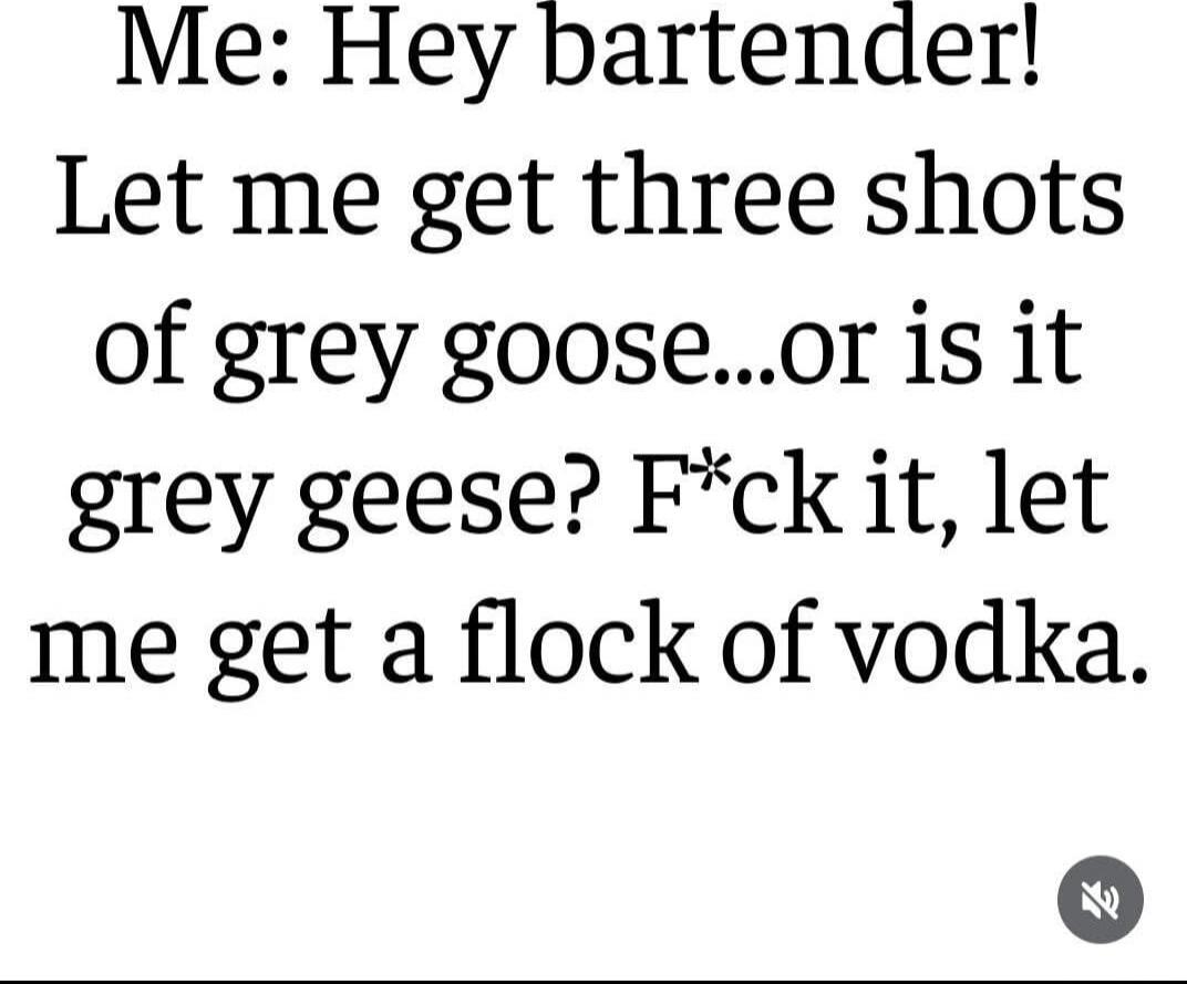Me: Hey bartender! Let me get three shots of grey goose...or is it grey geese? F*ck it, let me get a flock of vodka.