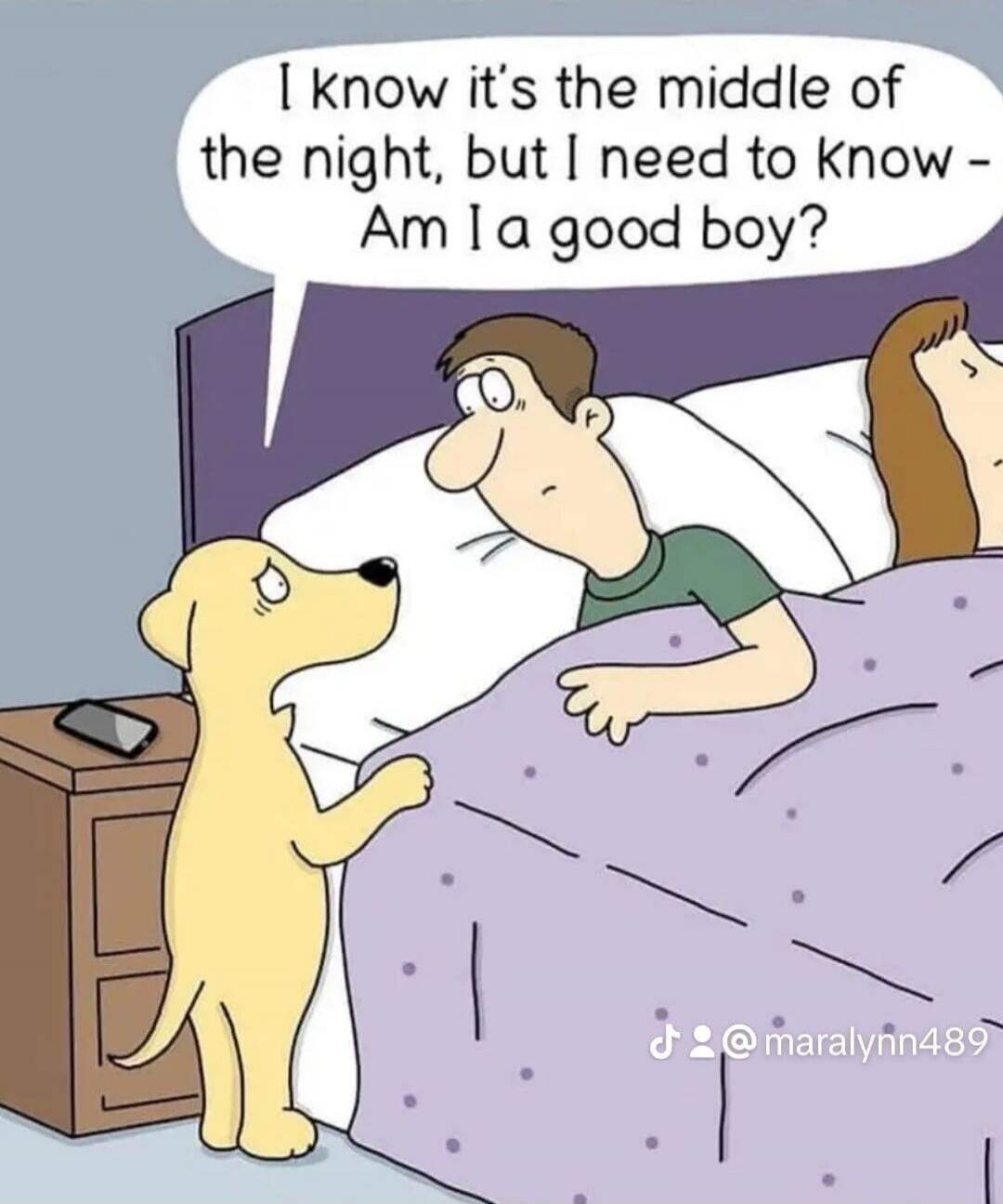 I know it's the middle of the night, but I need to know - Am I a good boy?