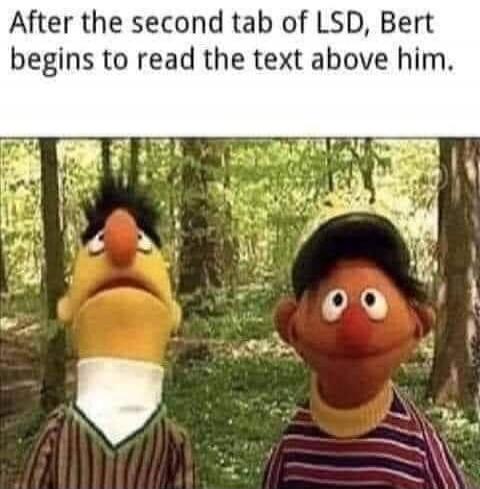 After the second tab of LSD, Bert begins to read the text above him.