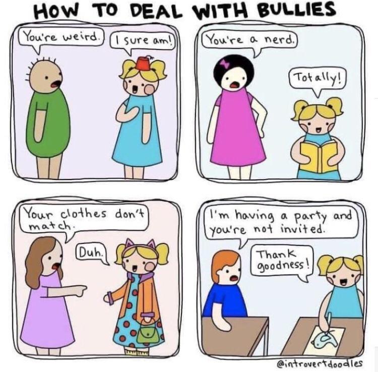 HOW TO DEAL WITH BULLIES R L match