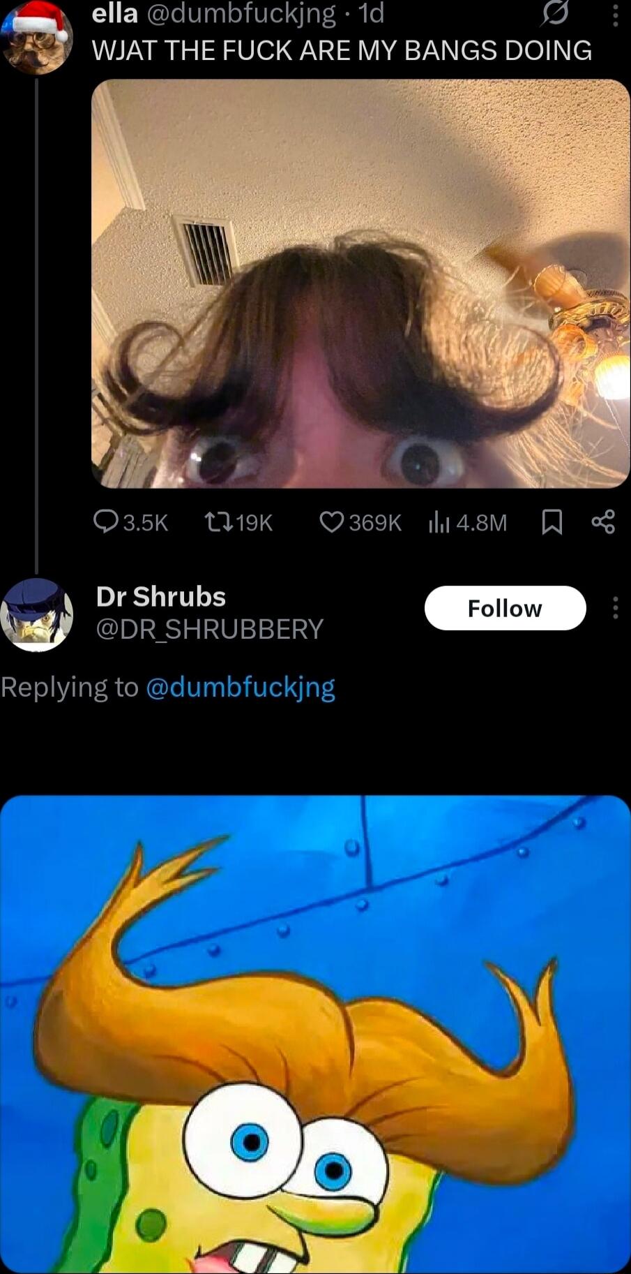 WJAT THE FUCK ARE MY BANGS DOING
ella @dumbfuckjng
Dr Shrubs @DR_SHRUBBERY