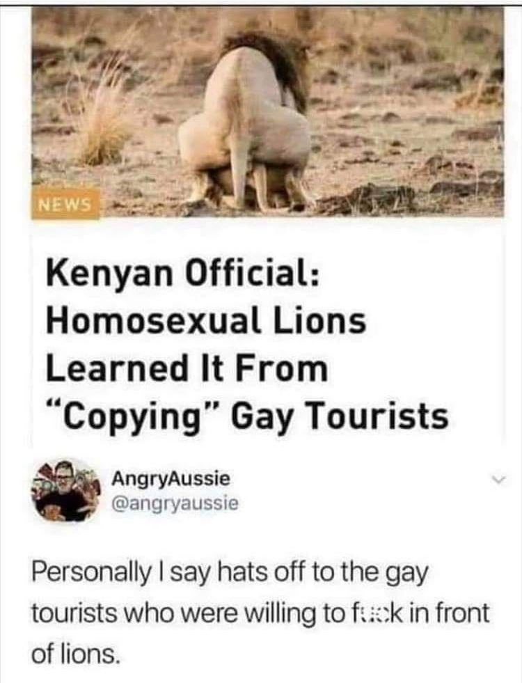 Kenyan Official Homosexual Lions Learned It From Copying Gay Tourists AngryAussie angryaussie Personally say hats off to the gay tourists who were willing to fik in front of lions