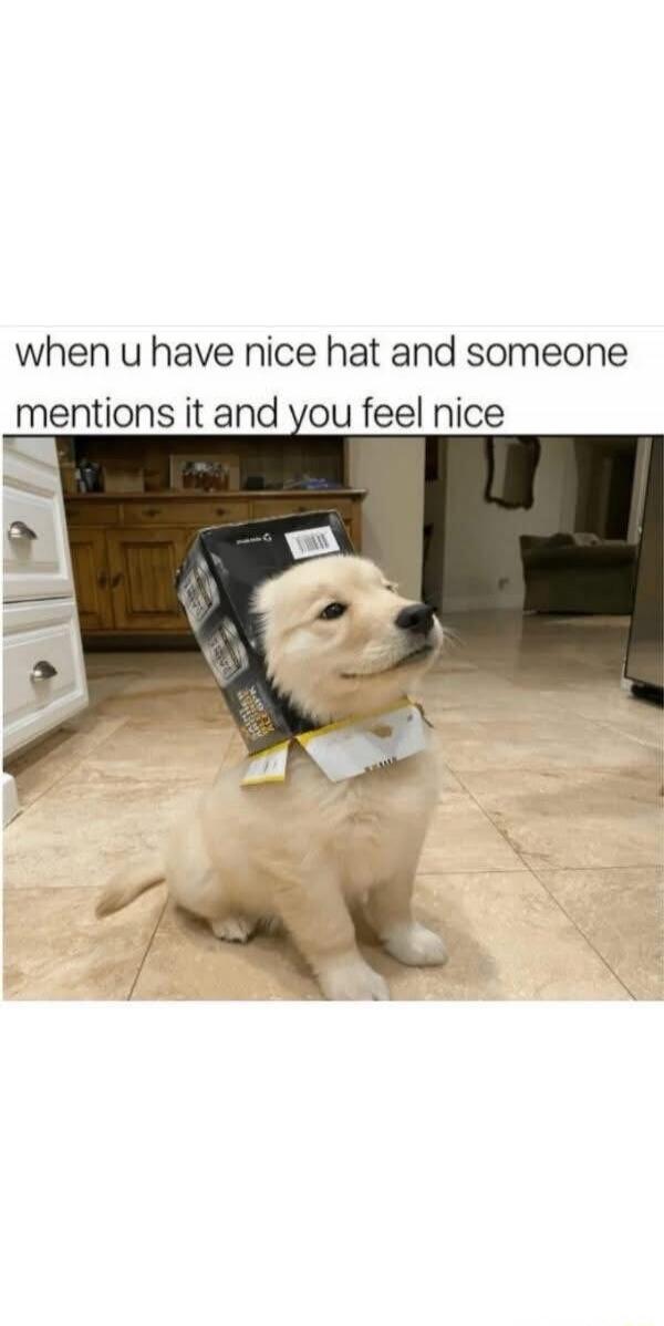when u have nice hat and someone mentions it and you feel nice