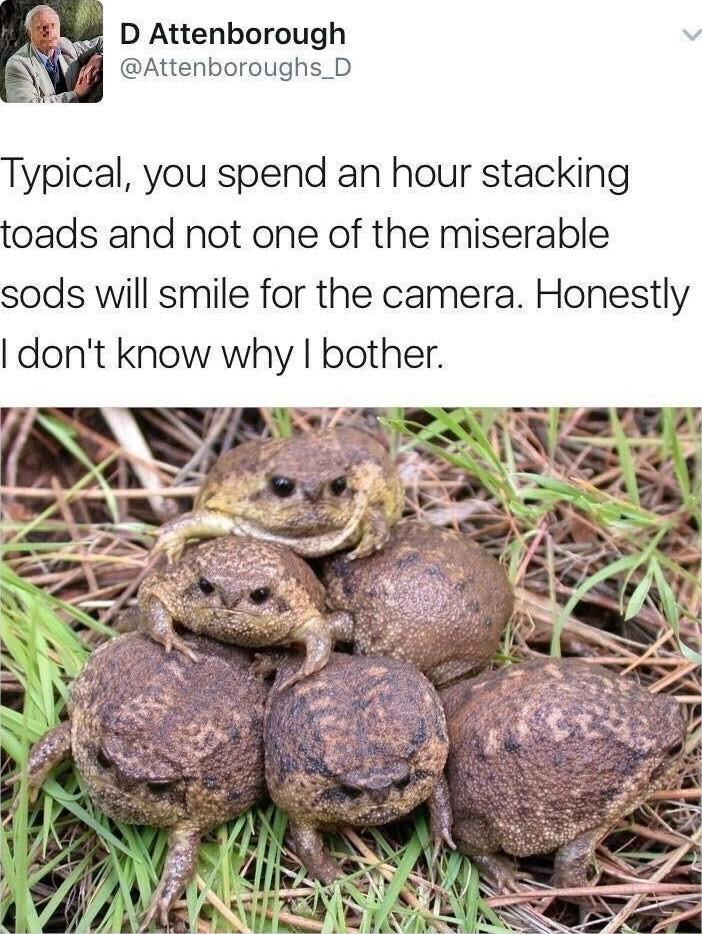 D Attenborough Attenboroughs_D ypical you spend an hour stacking oads and not one of the miserable sods will smile for the camera Honestly dont know why bother