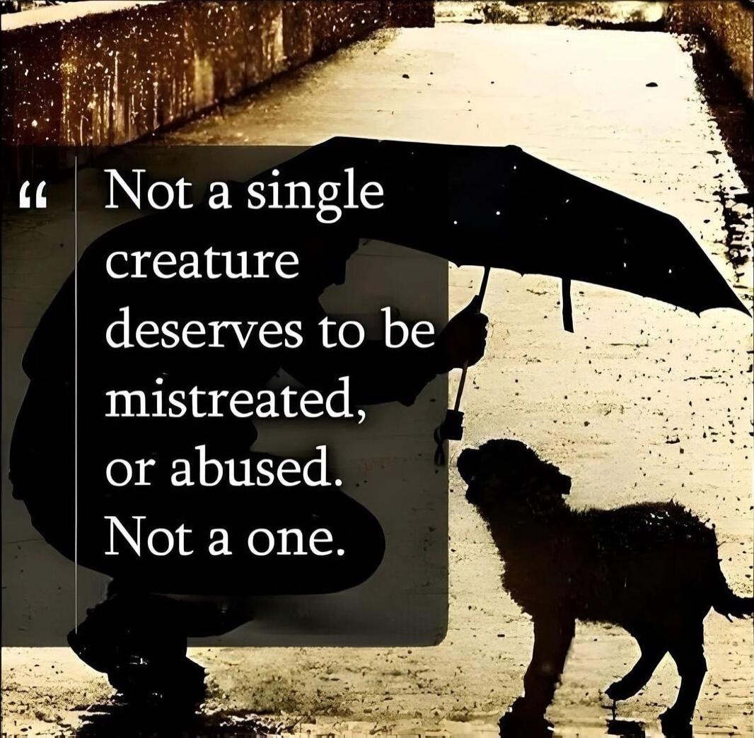 Not a single creature deserves to be mistreated or abused Not a one