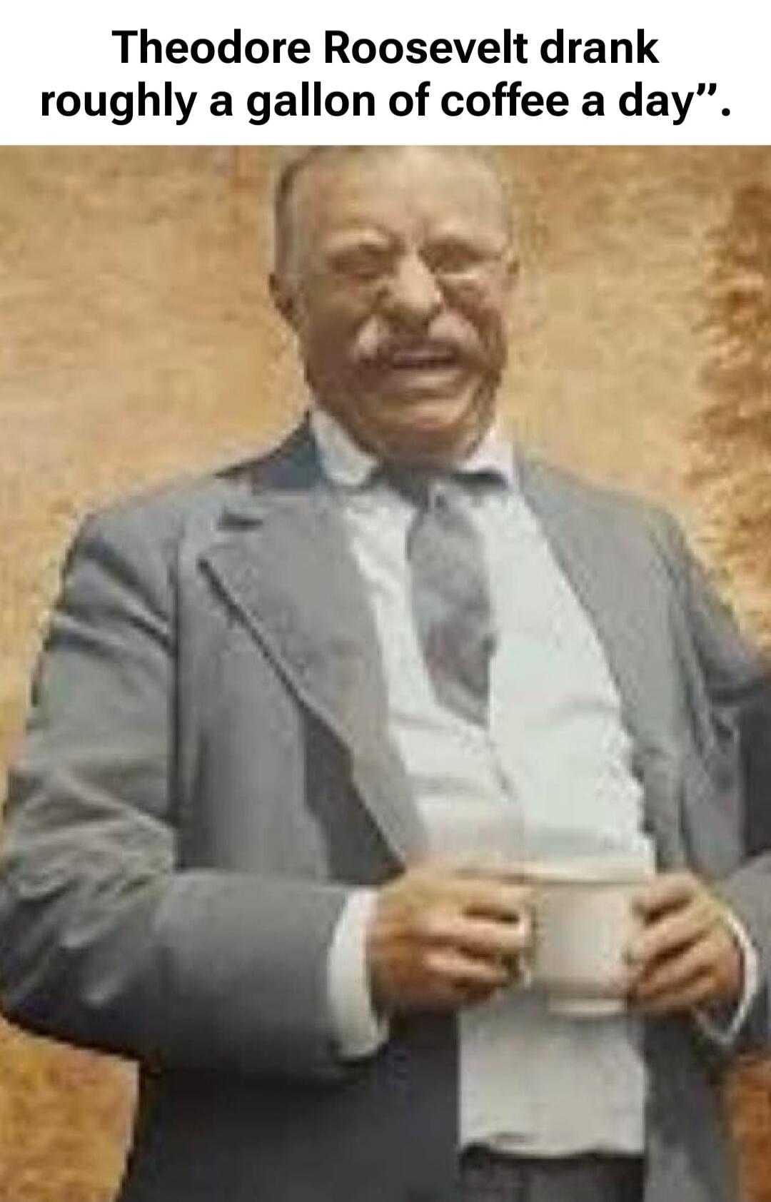 Theodore Roosevelt drank roughly a gallon of coffee a day.