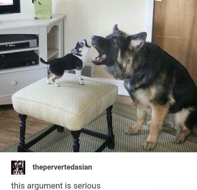 m thepervertedasian this argument is serious