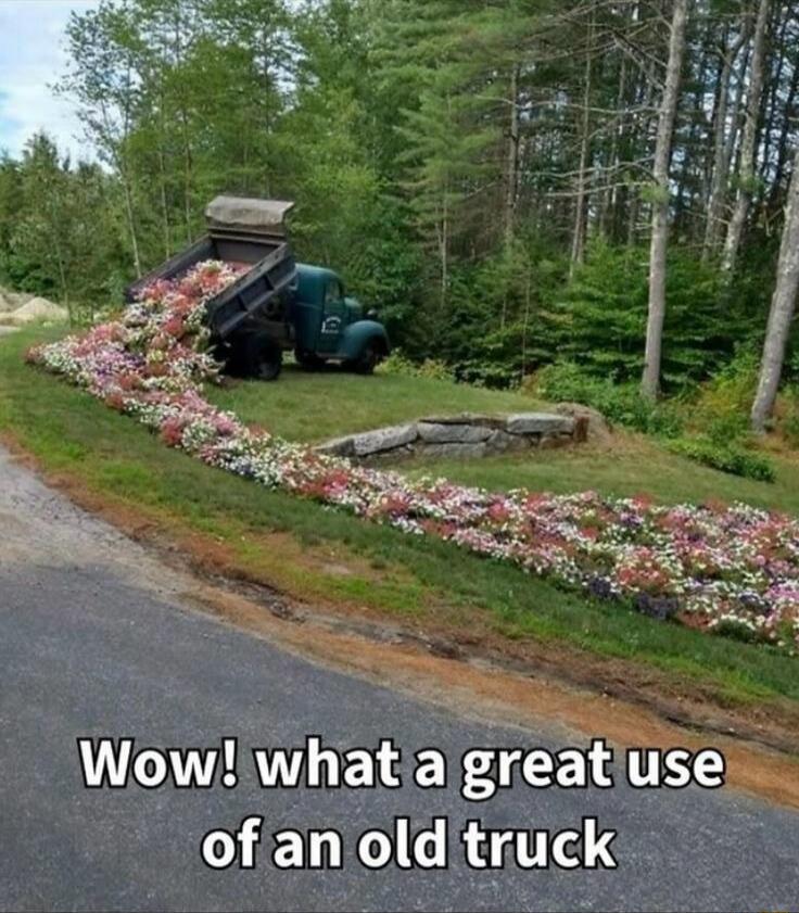 Wow! what a great use of an old truck