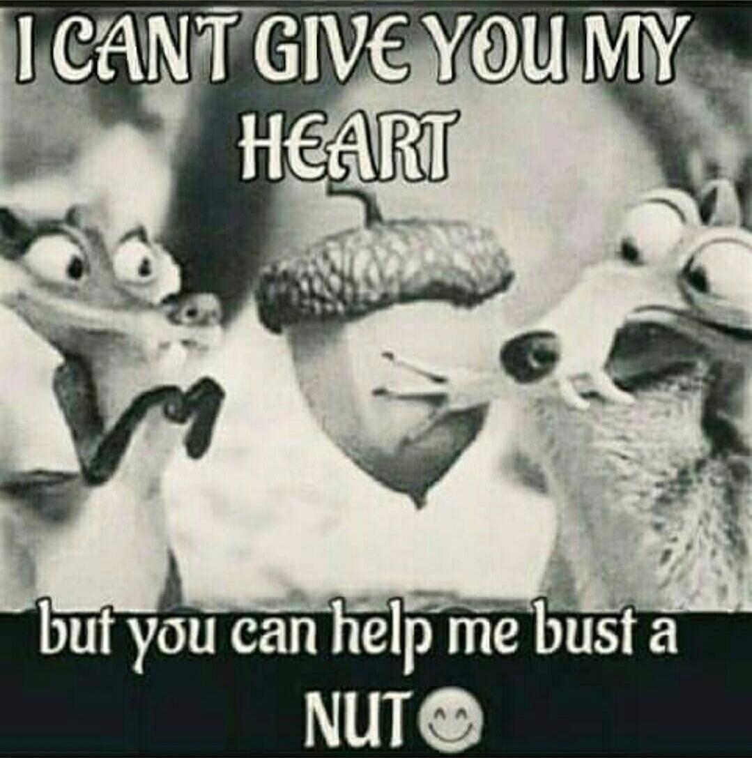 I CAN'T GIVE YOU MY HEART but you can help me bust a NUT