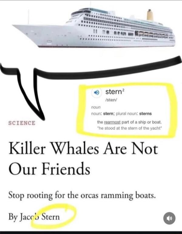 stern SCIENCE n st or boat Killer Whales Are Not Our Friends Stop rooting for the orcas ramming boats By Jc 0o