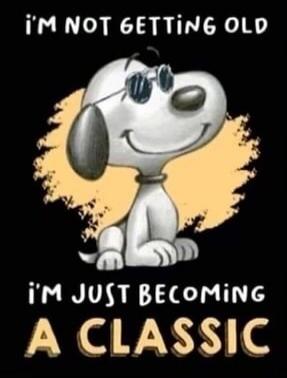 I'M NOT GETTING OLD I'M JUST BECOMING A CLASSIC