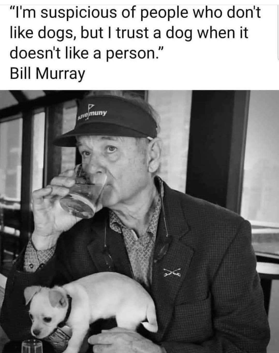 Im suspicious of people who dont like dogs but trust a dog when it doesnt like a person Bill Murray