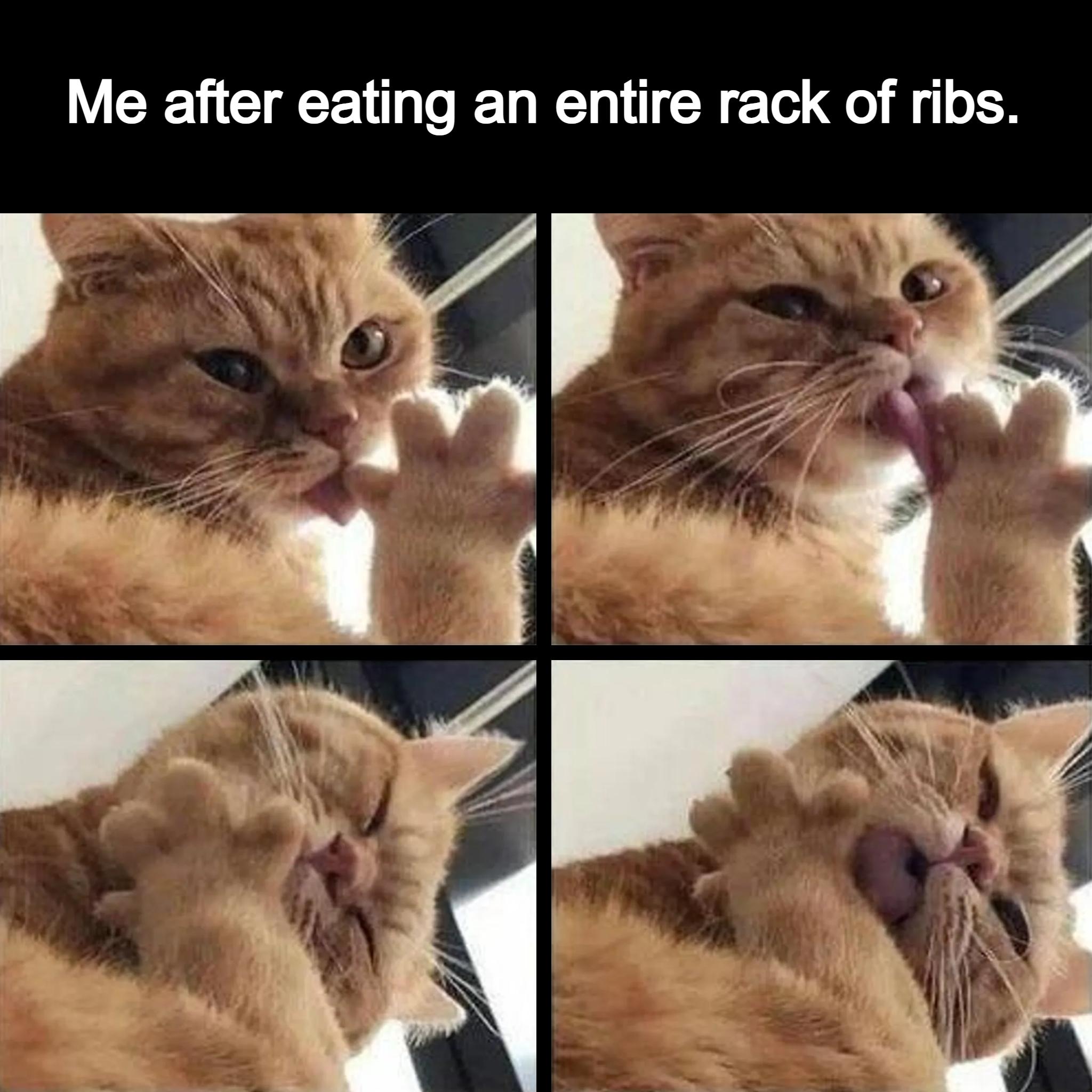 Me after eating an entire rack of ribs _