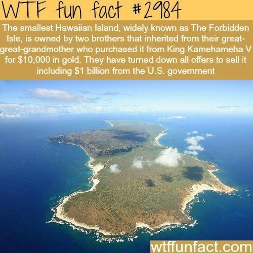 WTF fun fact 2434