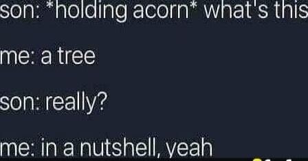 son: *holding acorn* what's this
me: a tree
son: really?
me: in a nutshell, yeah