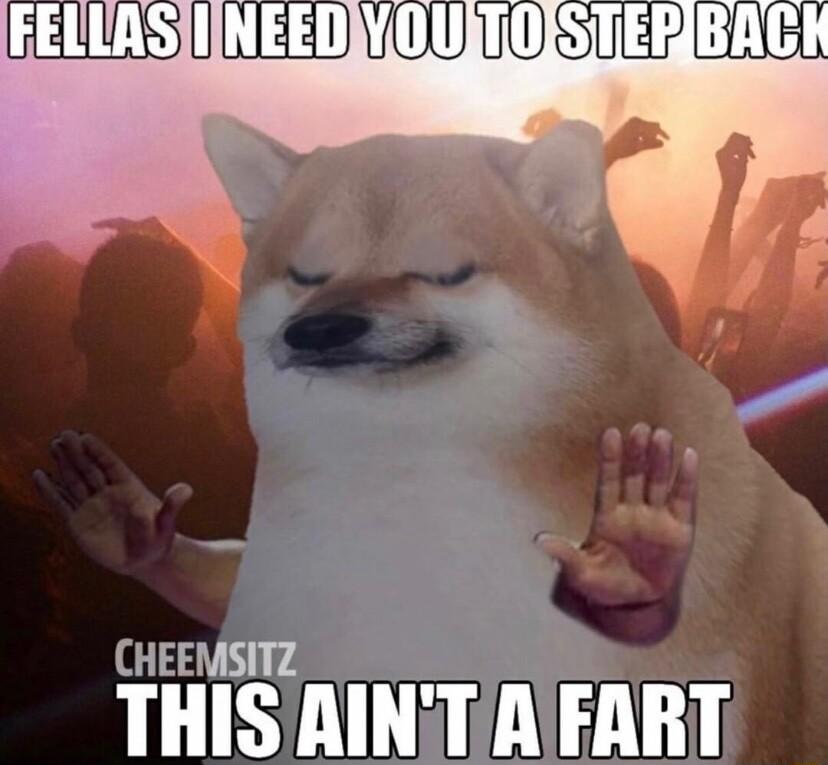 CHEEMSITZ THIS AINTIAEART