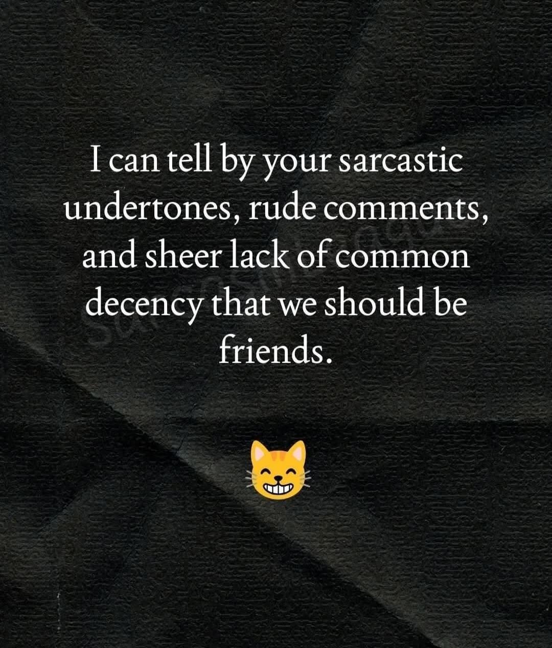 I can tell by your sarcastic undertones, rude comments, and sheer lack of common decency that we should be friends.