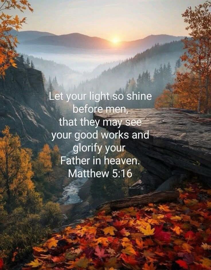 Let your light so shine before men, that they may see your good works and glorify your Father in heaven. Matthew 5:16