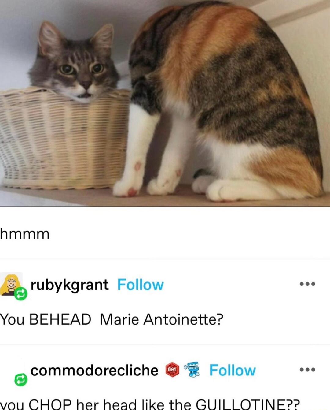 rubykgrant Follow L You BEHEAD Marie Antoinette ocommodorecliche Follow sod vou CHOP her head like the GUIL OTINE