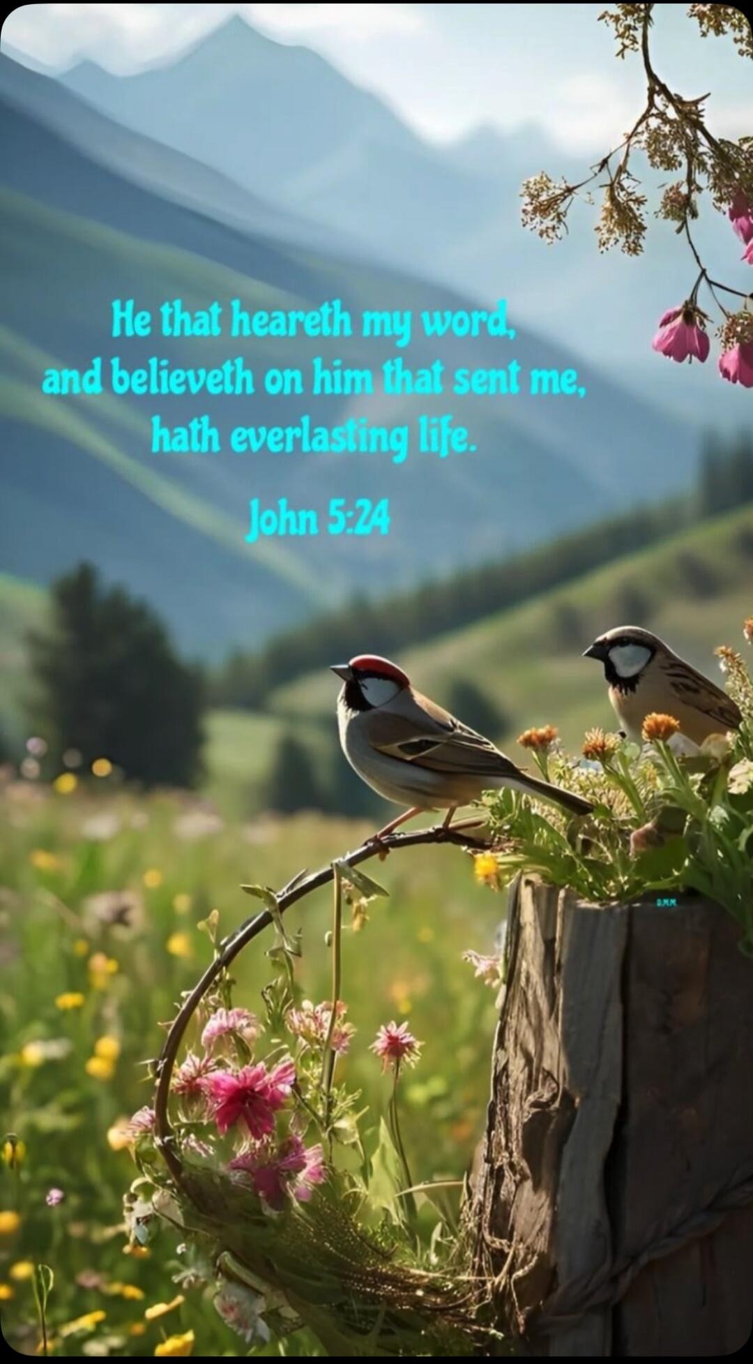 He that heareth my word, and believeth on him that sent me, hath everlasting life. John 5:24